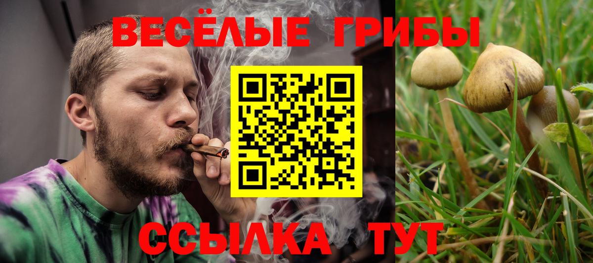 Калуга  Галлюциногенные грибы MAGIC MUSHROOMS  Вход с VPN 
