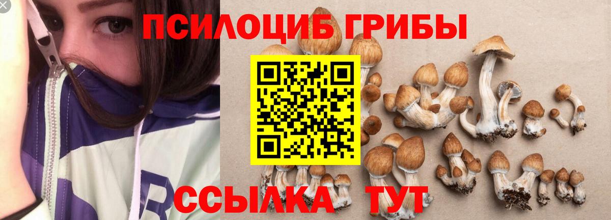 Галлюциногенные грибы Cubensis Калуга